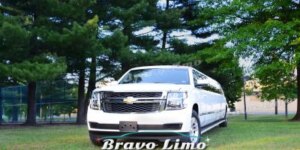 Private Or Corporate Limo Service Which One Is Your Choice