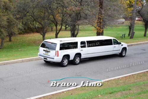 No Problem at limousine Hire