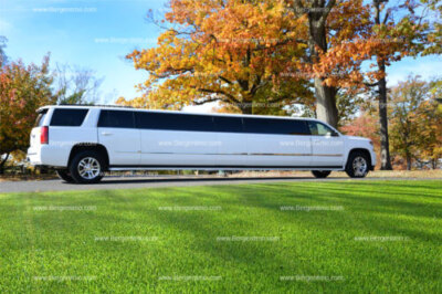 A Boys’ Night Out with Party Limos