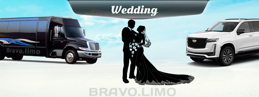 Wedding Limo Is Your Anti-Depressant of Wedding
