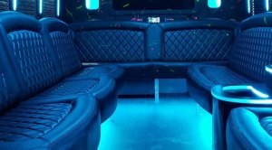 White Plains Ny Limo Service