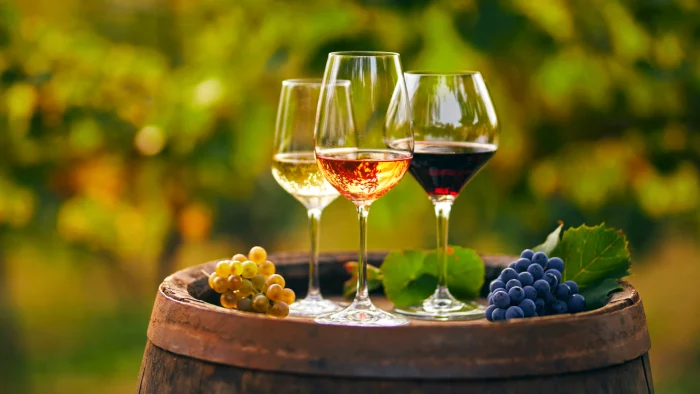 Limousine Winery Tours